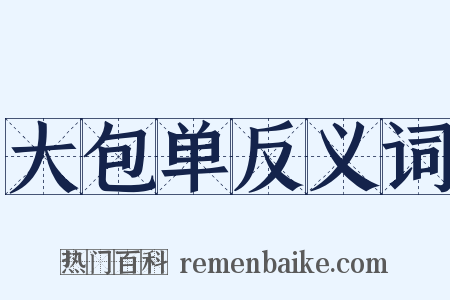 大包单反义词是什么意思的图片